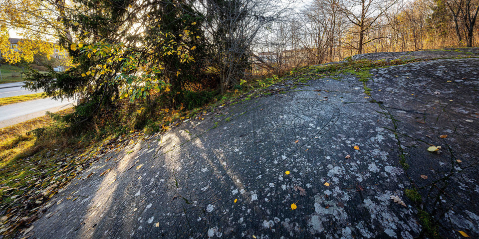 En mörk häll med en ristning. Träd i bakgrunden. Solen lyser in på hällen mellan träden.